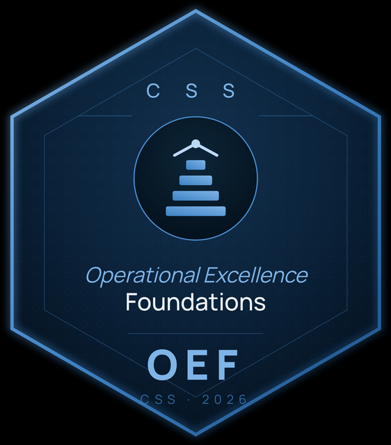 Insignia Operational Excellence Foundations